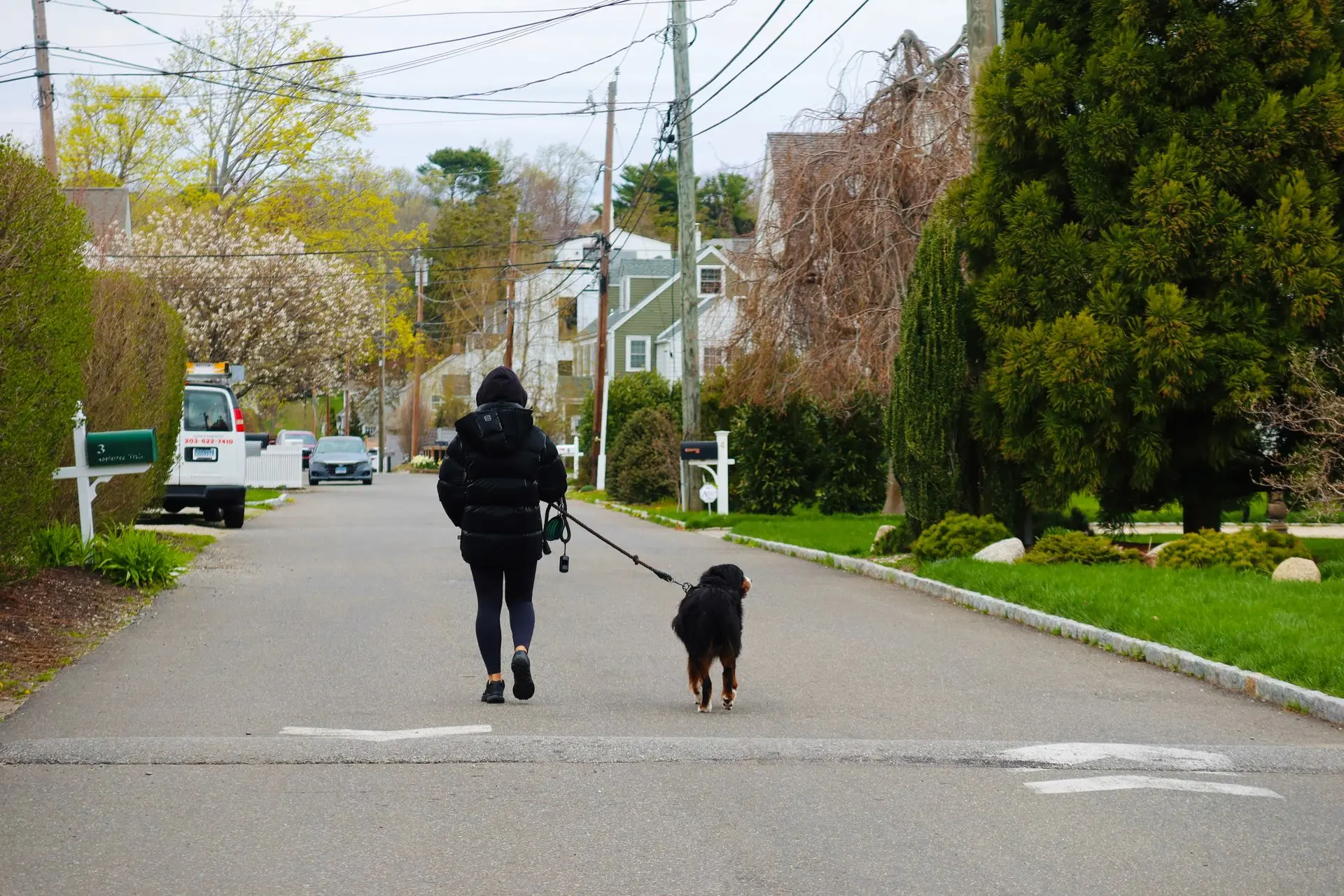 A person walking down a quiet neighbourhood street