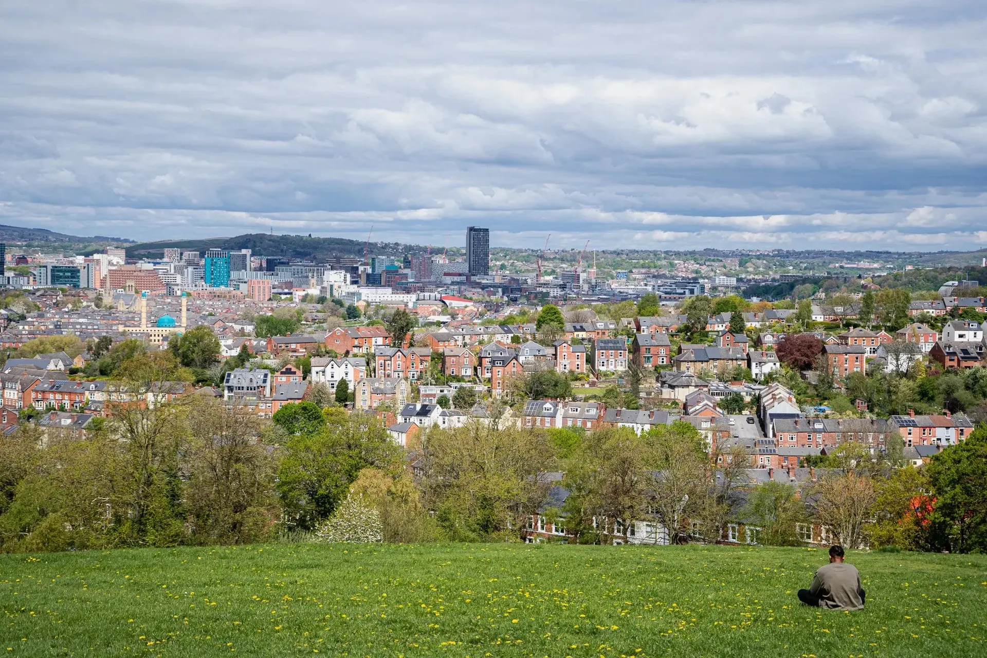 A person overlooking the city from a hillside, surveying where prayer is still needed